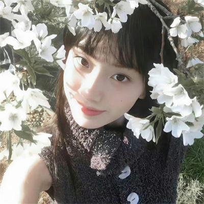 最后的飞行